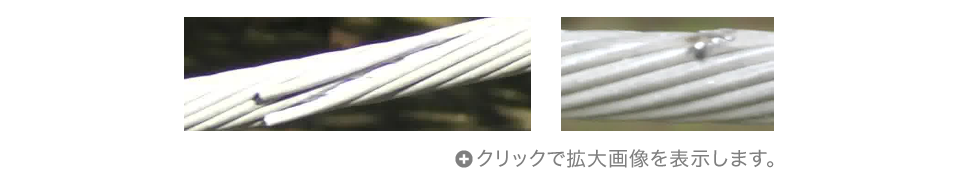 送電線異常画像サンプル（写真2点）