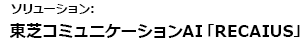 ソリューション:RECAIUS(リカイアス)