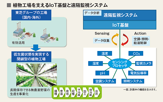 システムの概要