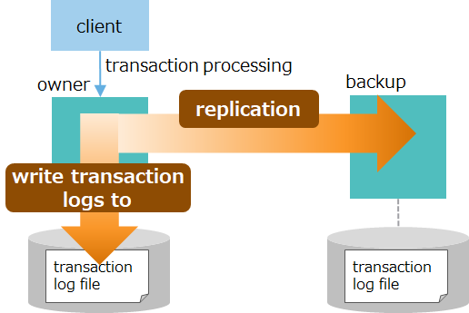 Transaction log write and replication